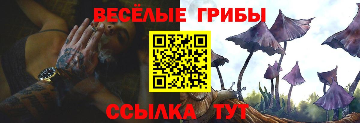 Галлюциногенные грибы GOLDEN TEACHER  Вход с VPN  Урюпинск 